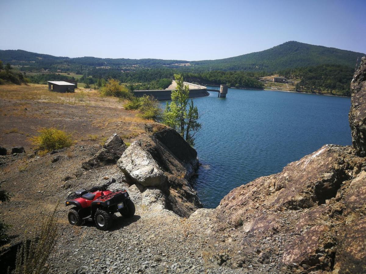 "Porodica Markovic" Borsko Jezero Beljevina Εξωτερικό φωτογραφία