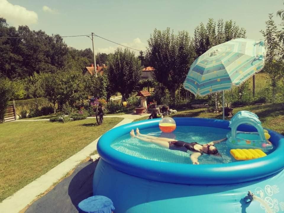 "Porodica Markovic" Borsko Jezero Beljevina Εξωτερικό φωτογραφία