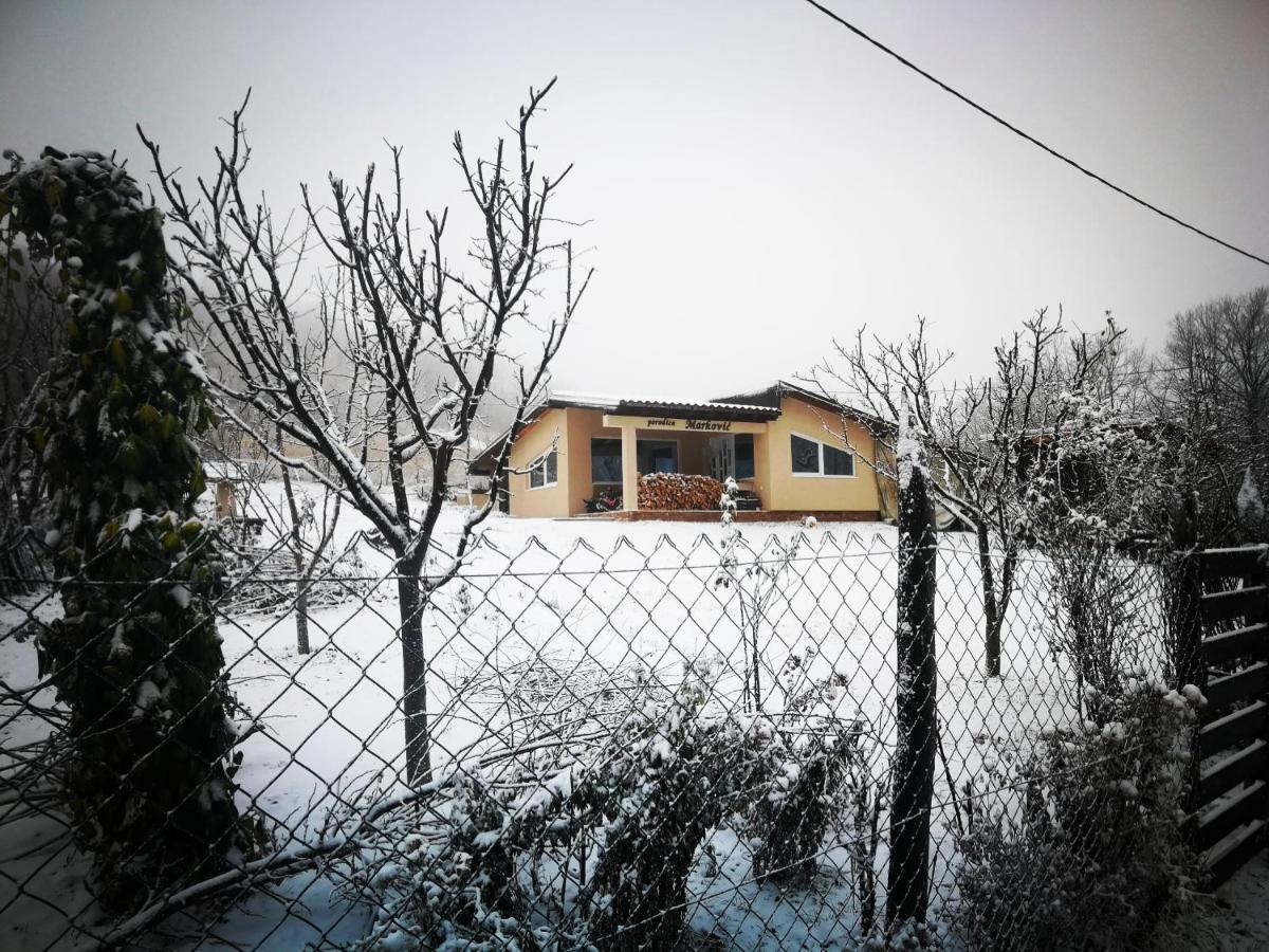 "Porodica Markovic" Borsko Jezero Beljevina Εξωτερικό φωτογραφία