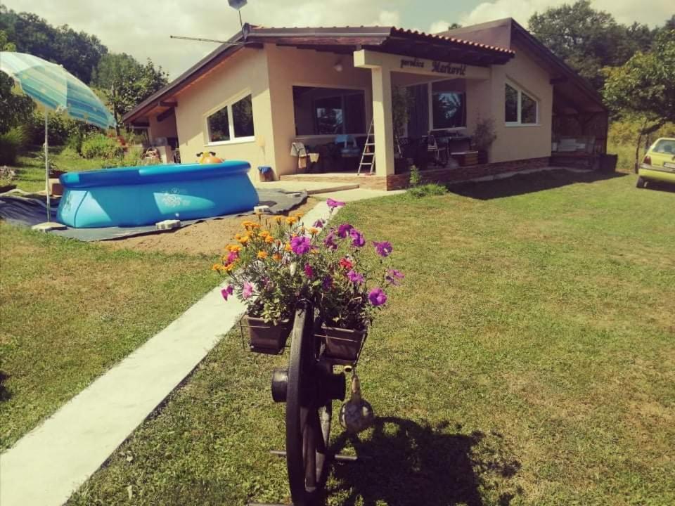 "Porodica Markovic" Borsko Jezero Beljevina Εξωτερικό φωτογραφία